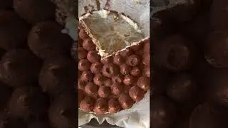 ТИРАМИСУ. Торт и пирожное в одном рецепте!