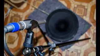 Одинаковая ли АЧХ? Две 150ГДШ35-8 с разных партий, замер на Behringer ECM8000