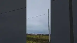 Птичка на проводе поёт
