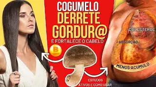 cogumelo Shiitake: benefícios para emagrecimento, coração e cabelo