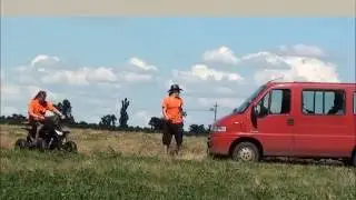 Queen coursing
