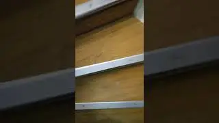 Amsterdam hotel steps