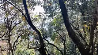 Music for Deep Sleep and Focus #sleepmusic #studymusic #mediationmusic