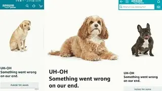 Amazon Prime is not working solution |  UH-OH Something went wrong on our end fix