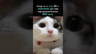 А вы себя узнали? 😂 #немецкийснуля