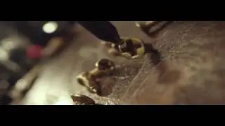 Shoe Brush_Lu-lu's