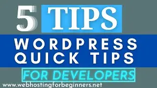 5 Easy Tips before beginning 