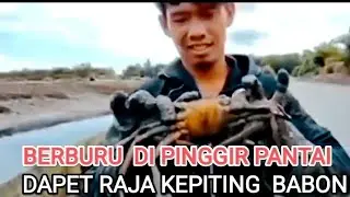 PANEN KEPITING JUMBO LAGI #fypシ