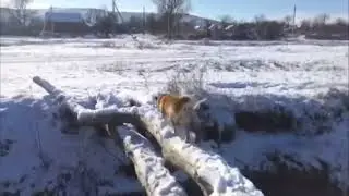 Это фиаско, братан!