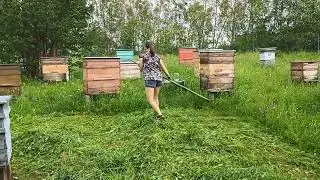 Почему мы на пасеке косим траву только косой?