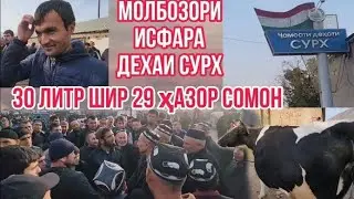 Исфара Сурх Молбозор 30 литр шир 🐄 👤 МОЛБОЗОР МИРЗО