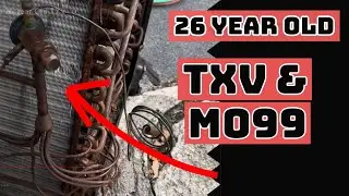 Replacing R22 with M099 and a 26 Year Old TXV