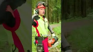 Bäume fällen schützt das Klima 🤯 