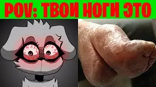 Жуткие лица Беллы (POV: Твои ноги)