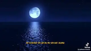 Lazy ED - Cu ea