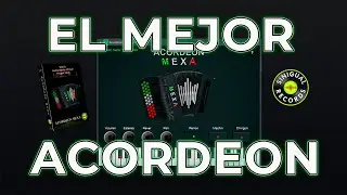 El mejor Acordeón para Fl Studio Gratis Vst Plugin