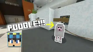 ✔Minecraft PE: How To Get A Puppy | Addon