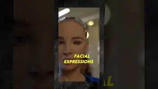 MEET SOPHIA THE AI ROBOT
