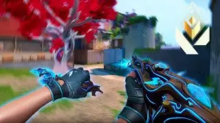 THE BEST CONSOLE VALORANT RADIANT CONTROLLER SETTINGS & SENSITIVITY + ALL CROSSHAIRS - Valorant PS5