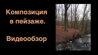 Landscape composition. Video review.