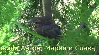 Репортаж 