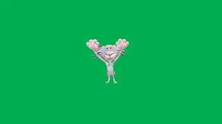 Green Screen Funny Cat