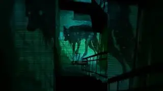 История о двух зверятах