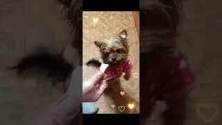 Что готова сделать Ретти😁