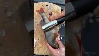 первая рыба. весна пришла на север.