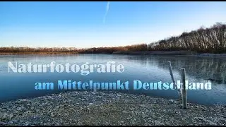 Naturfotografie am Mittelpunkt Deutschland und viele Schwäne