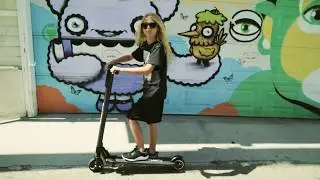 Swagger Pro - New High Speed, Light-weight E-Scooter!