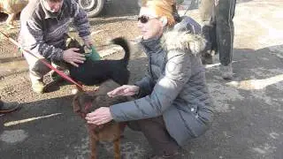 Borisz 2014-01-16