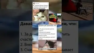 #мем
