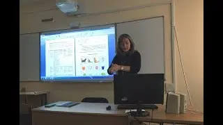 Прикладной анализ поведения (АВА) / Коррекционная работа / Нежелательное поведение