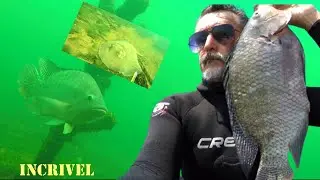 PESCA SUB  - Arraia Veio Pra Cima | FAMA SUB | #pescasub #rioparaná #fishing