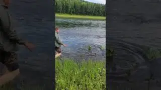 Таймень на ультралайт