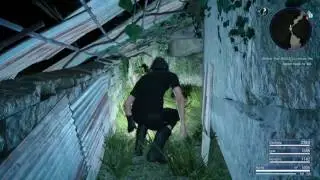 Noctis' ripped pants