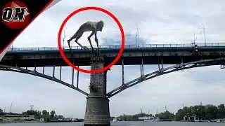 5 CRIATURAS GIGANTES FILMADOS POR CÂMERA NA VIDA REAL
