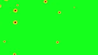 Green Screen Overlay Effects_Kinemaster, After Effects, Premiere, Blender, Edius,Final Cut,Filmora