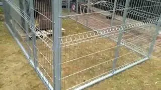 Вольер 2*3 из Секций 3D