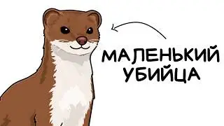 You are Weasel (AND THIS IS YOUR WHOLE LIFE)