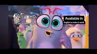 &flix angry bird 2