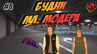 БУДНИ МЛАДШЕГО МОДЕРАТОРА ПЫТАЮСЬ ПОВЫСИТСЯ •|• БЛЕК РАША #8
