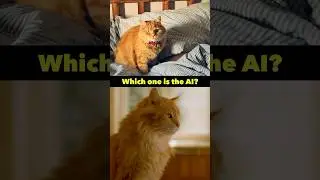 99% FAIL this Test 