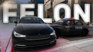 Evading The Government in BeamNG