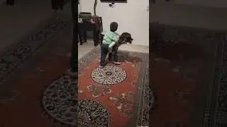 Evde güreş müsabakaları