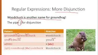 Regular Expression