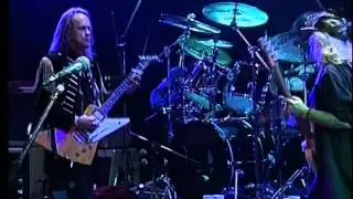 LYNYRD SKYNYRD - Swamp Music
