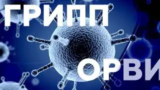 Профилактика Гриппа и ОРВИ