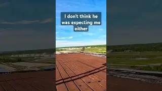 Hawk was NOT expecting me 